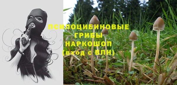 а пвп мука Абаза