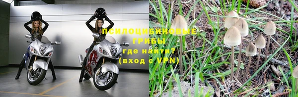 дурь Абинск