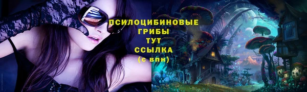 дурь Абинск